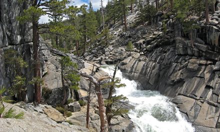 Traveling with an Adult Child: Yosemite