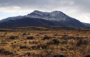 Steppes of Patagonia