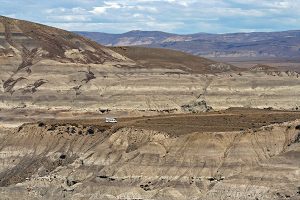 Petrified forest