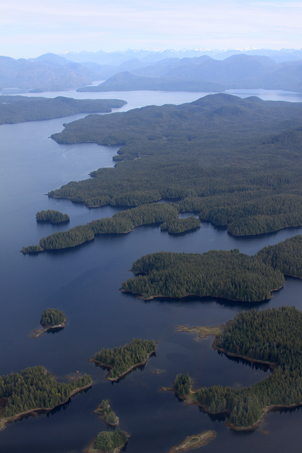 Dubbed “Canada’s Amazon,” the Great Bear Coast is one of the world’s greatest natural treasures, encompassing natural beauty, diverse wildlife and plants, history, and many cultures. ©Candice Gaukel Andrews