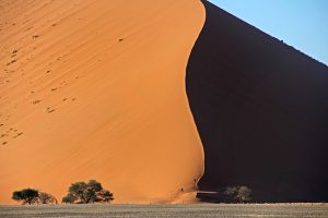 dune 7 sossusvlei namibia