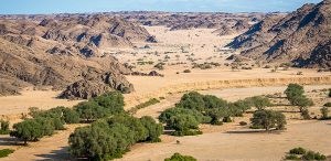 skeleton coast namibia