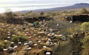 black gravel mine galapagos verde 2050