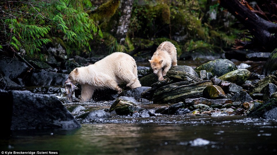 24502D38000005782889922Kyle_Breckenridge_43_who_took_the_photographs