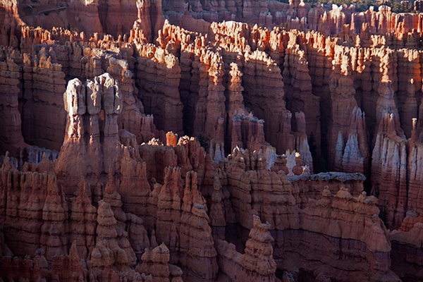Hoodoos of Bryce Canyon National Park