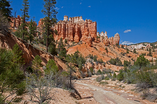 Bryce Canyon