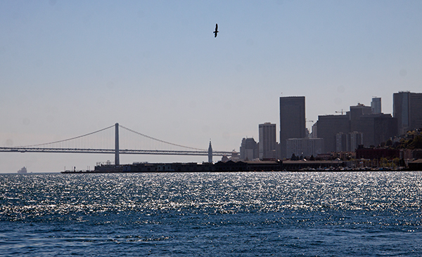 An extraordinary view of San Francisco Bay, from Alcatraz Island. ©Candice Gaukel Andrews