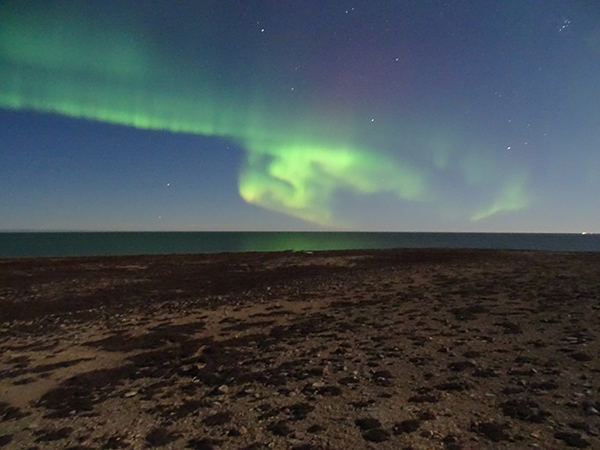 Northern Lights Churchill Canada