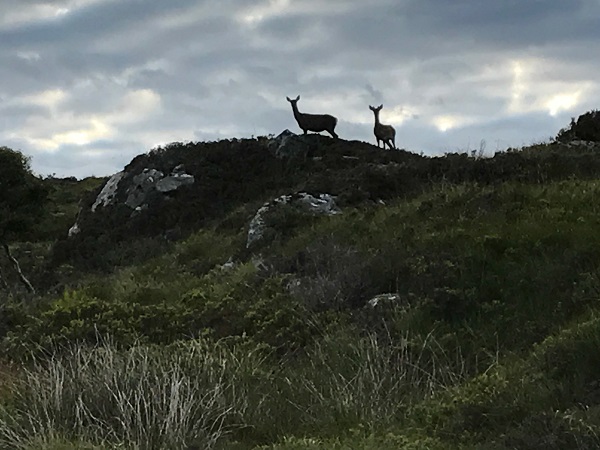 Traveler Story: Scotland’s Wild Highlands & Islands