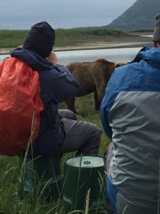 Grizzly bear watching in Alaska