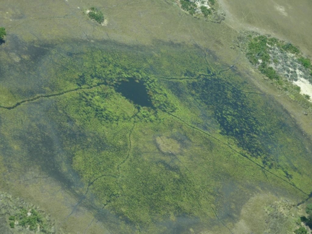 okavango | Good Nature Travel Blog