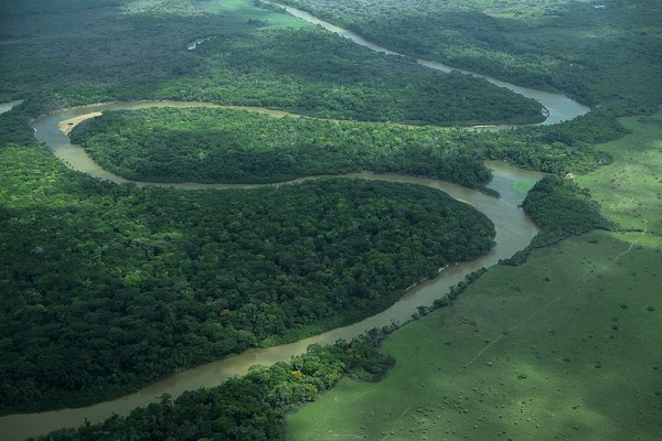 Rupununi River in Iwokrama National Park 