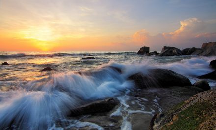 Plastics and PCBs: Ocean Pollutants Causing Big Problems