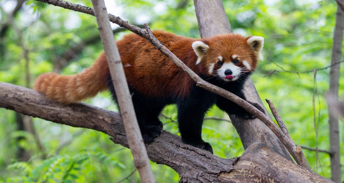 5 Reasons Why China Should Be Your Next Nature Adventure