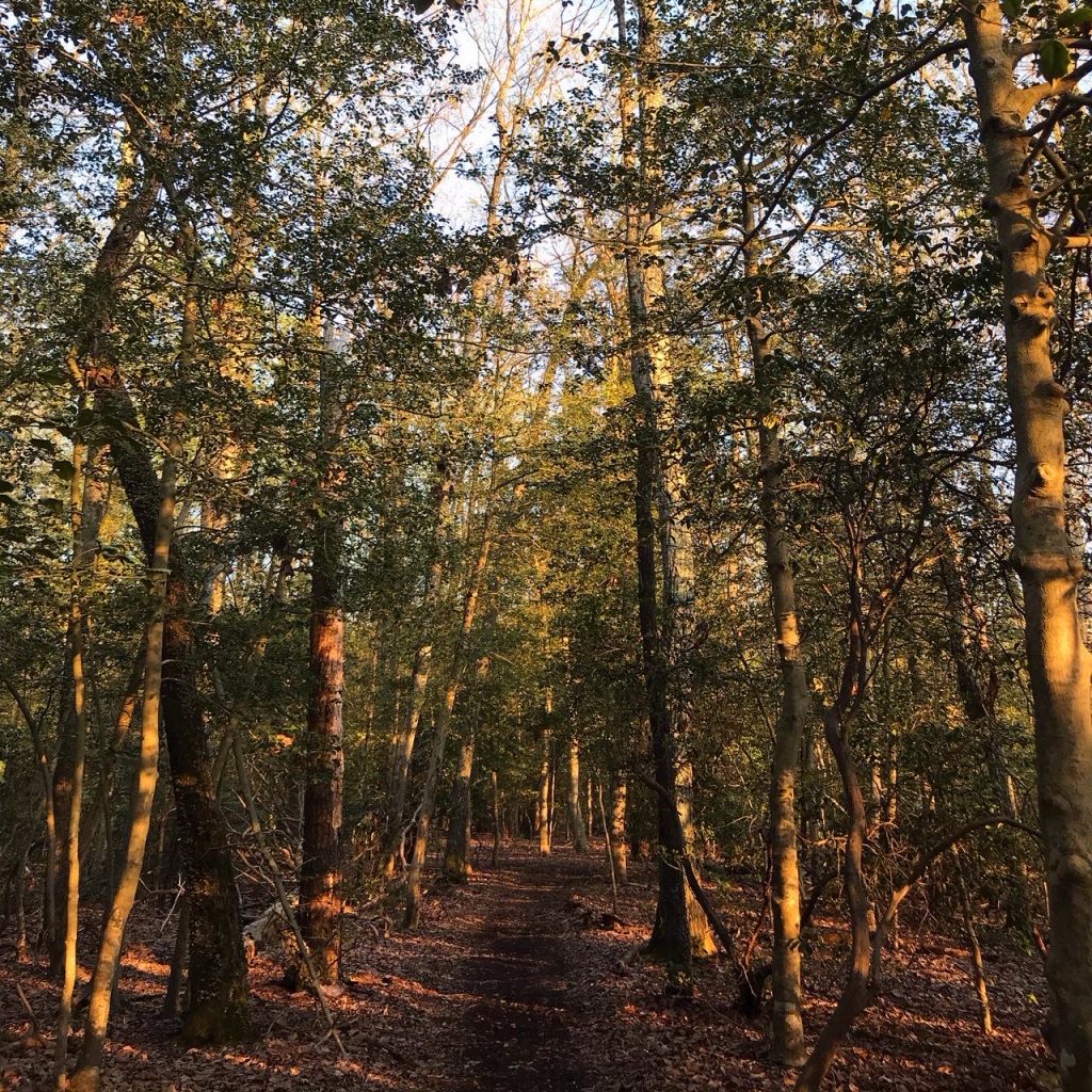 magic hour hike Good Nature Travel Blog