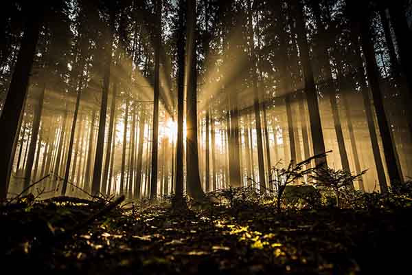 Pixabay