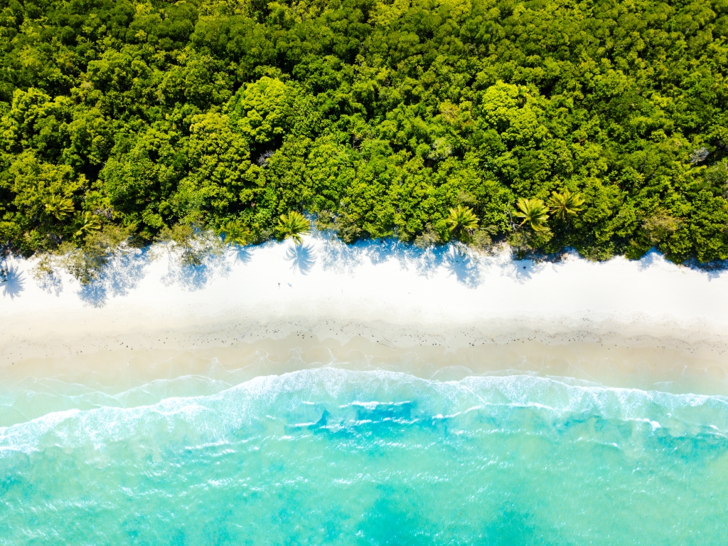 The Great Barrier Reef converges with the Daintree Rainforest at Cape Tribulation.