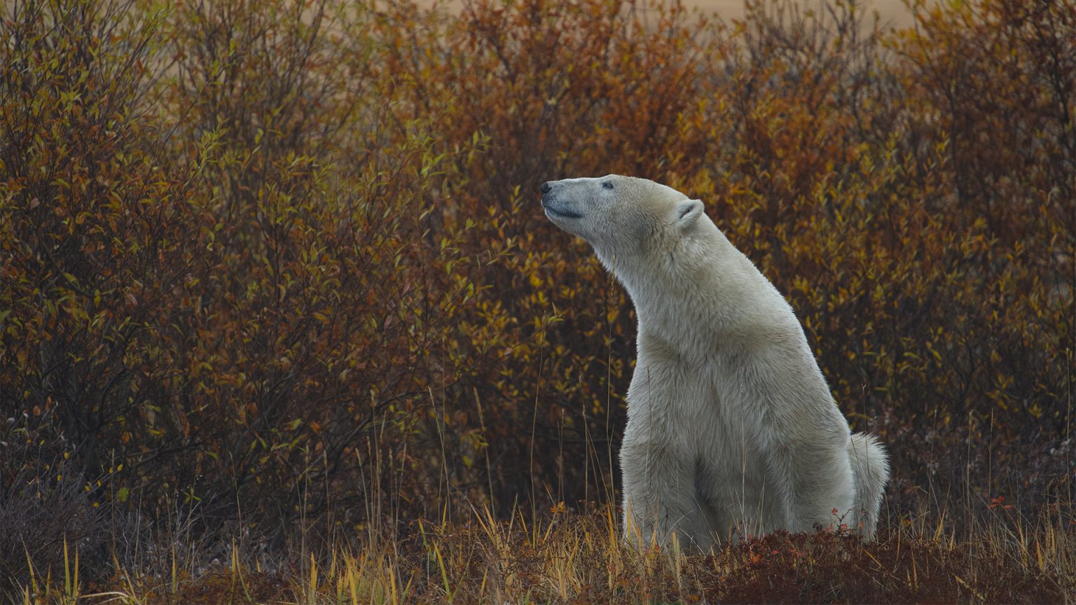 DSC05002 Good Nature Travel Blog