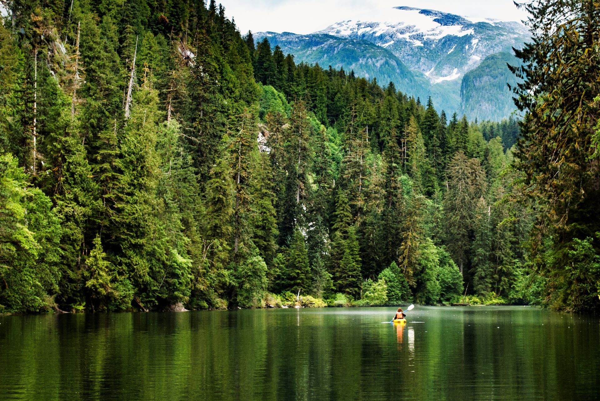 Green Rainforest, The coastal rainforests of northern Calif…