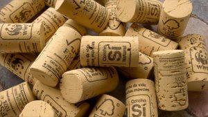 Pile of cork stoppers from the first cork oat forest certified by FSC in Spain, harvested in the Sierra de EspadÃ¡n, CastellÃ³n, in the west of the country.