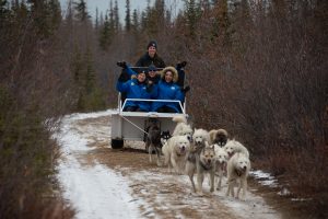 Four women on a sled being pulled by sled dogs in Manitoba Canada in the snow