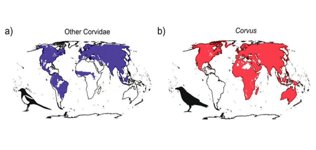Map-fin_Web | Good Nature Travel Blog