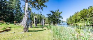 Totem poles made by Indigenous inhabitants in Canada on the beautiful SGang Gwaay Village