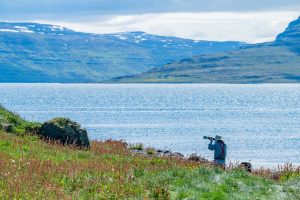 A Nat Hab traveler trying to capture puffins in flight—a daunting task! We try to ensure lots of time around puffins throughout an Iceland Expedition to capture a wide variety of behaviors.