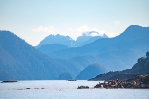 Though treed today, the mountains behind were clear-cut logged from sea level to the peaks. Landslides followed. Lyell Island / Athlii Gwaii.