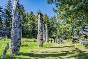 The remaining Haida Poles left standing at SGang Gwaay on Anthony Island
