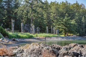 SGang Gwaay, Anthony Island (UNESCO World Heritage Site, National Heritage Site, Haida Heritage Site) - Captain Gold, the first Haida Watchmen, looks over the village site where he canoed to and lived in 1973.