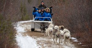 Women travelers wear winter parkas and go dog sledding in Churchill Manitoba