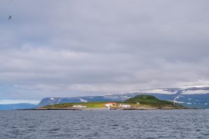 Vigur Island. Home to around 100,000 breeding puffins, this isolated island tucked into a fjord in the Westfjords region of Iceland hosts a small family, an eiderdown farm (no eiders harmed in the process), and important nesting areas for many migratory bird species. We spend part of a day exploring Vigur Island, looking for some of the avian residents while we're there.