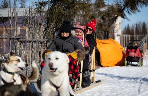 Dogsledding at Wapusk Adventures Churchill Manitoba by Daniel Raiti