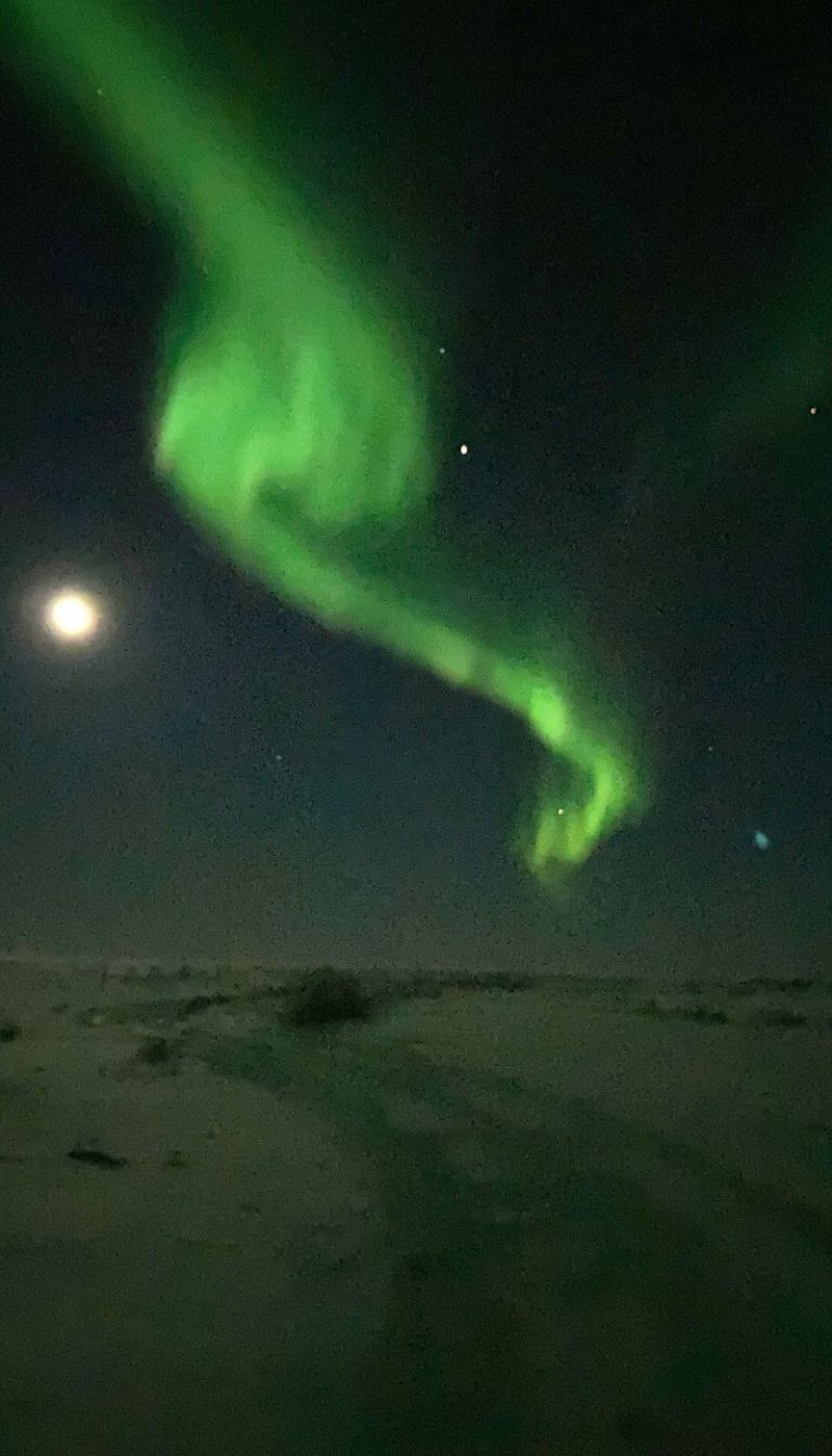 Northern lights Good Nature Travel Blog