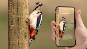 bird ID app