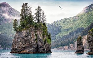 Kenai Fjords National Park Kenai Peninsula
