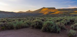 AdobeStock