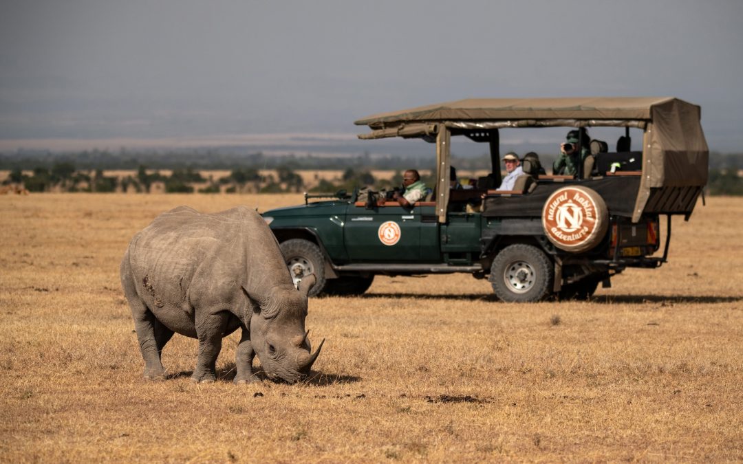 6 New Nature & Wildlife Trips from Nat Hab for 2025–2026: From Madagascar to the Douro Valley