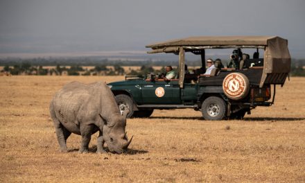 6 New Nature & Wildlife Trips from Nat Hab for 2025–2026: From Madagascar to the Douro Valley