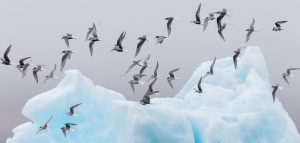 AdobeStock