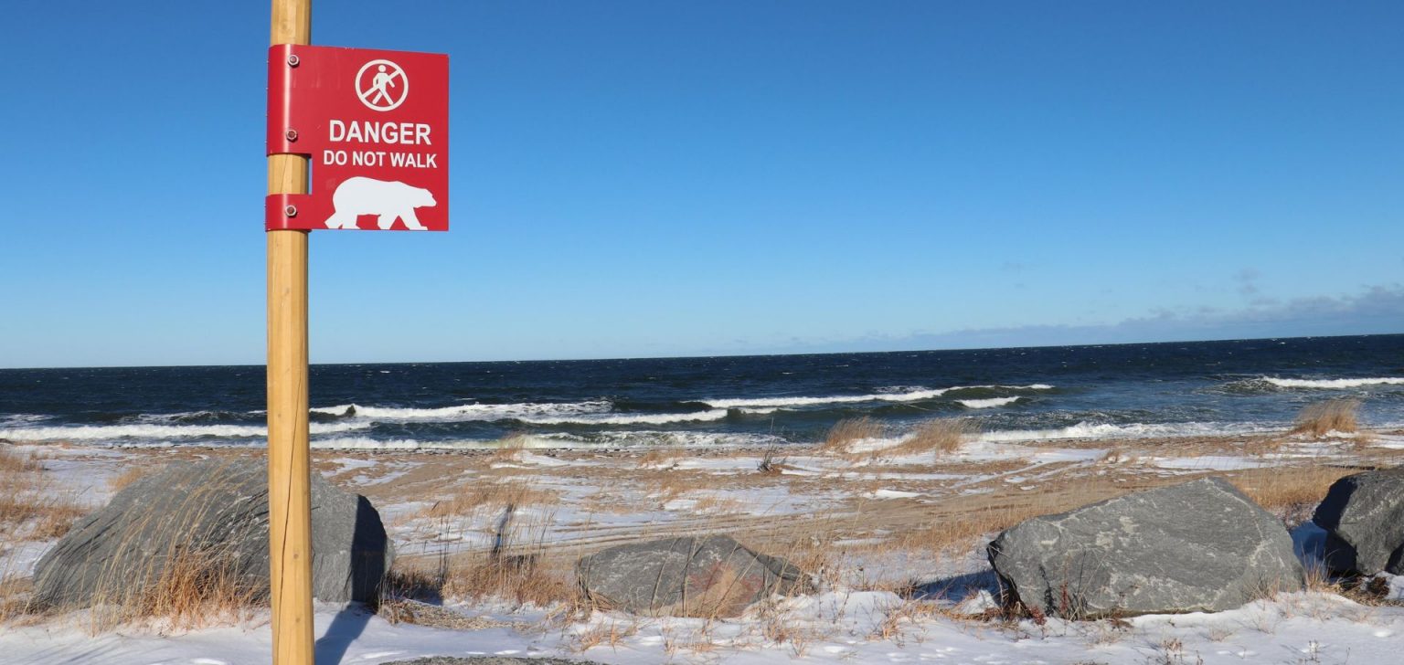 Polar bear danger sign | Good Nature Travel Blog