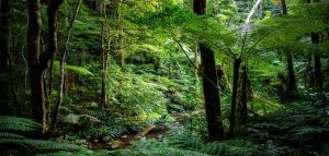 AdobeStock