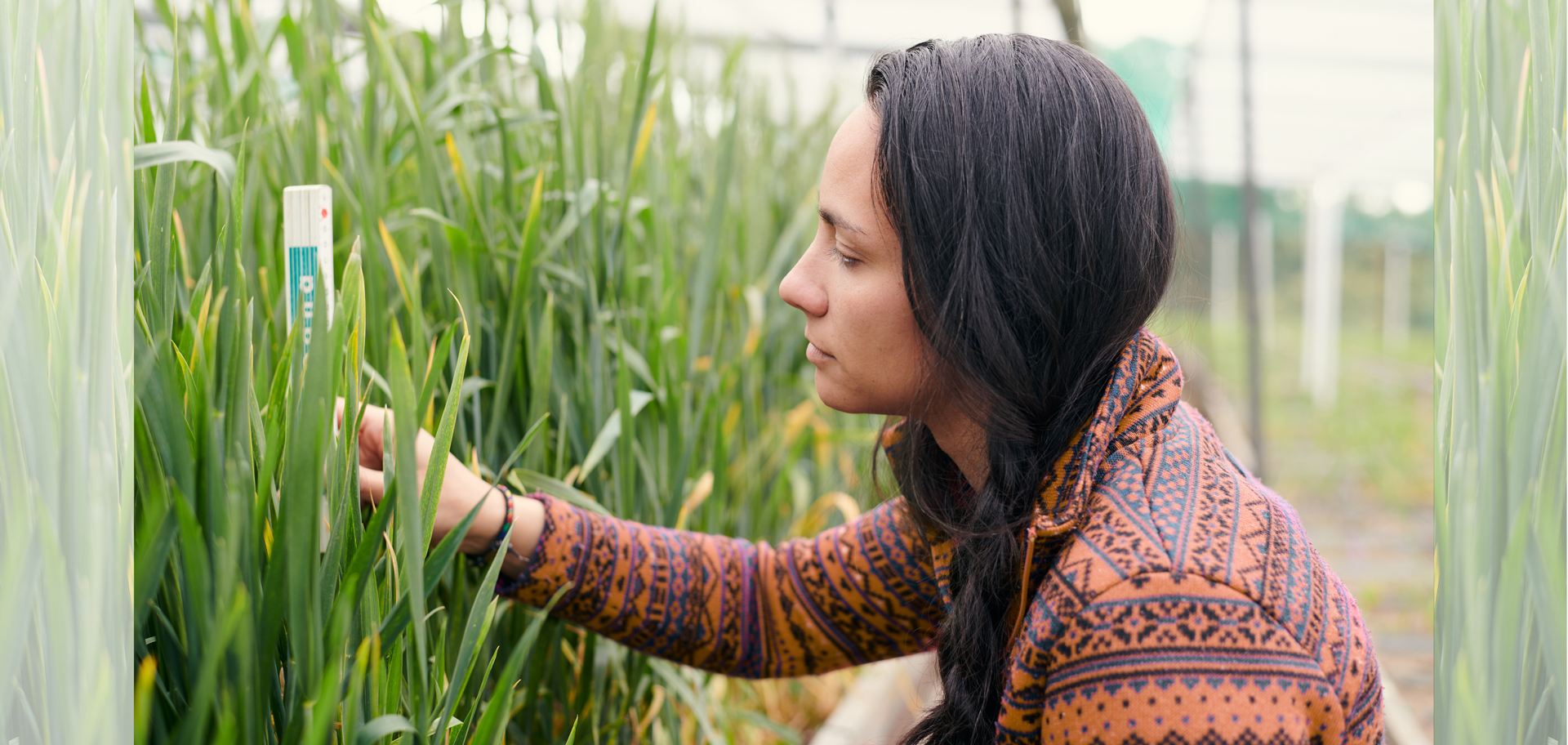 Ethnobiology: Conservation Comes of Age