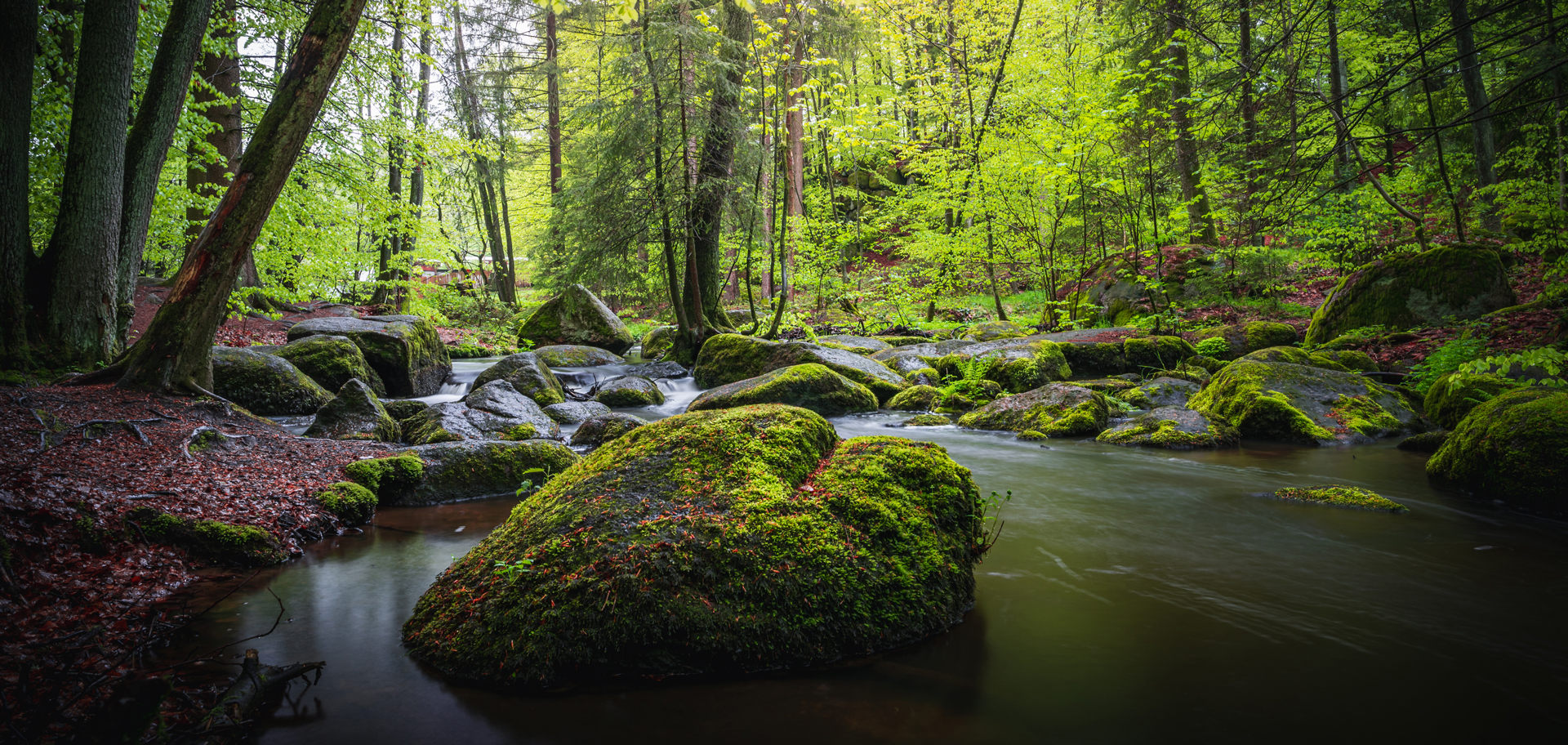 AdobeStock