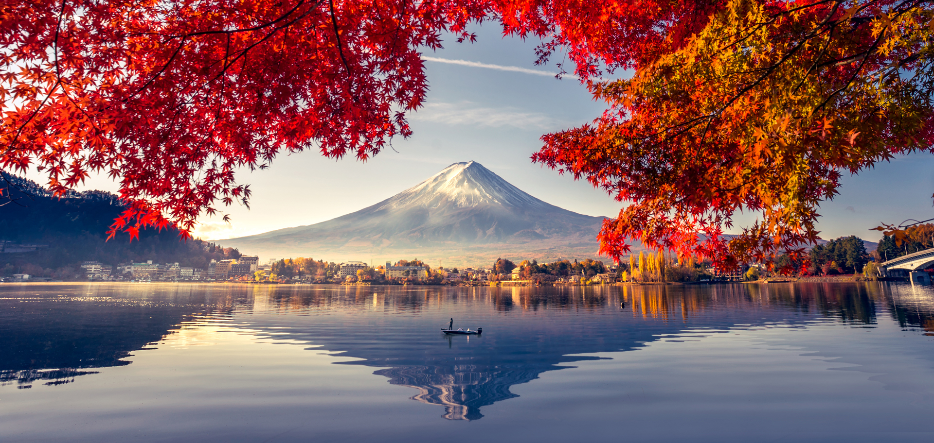 AdobeStock