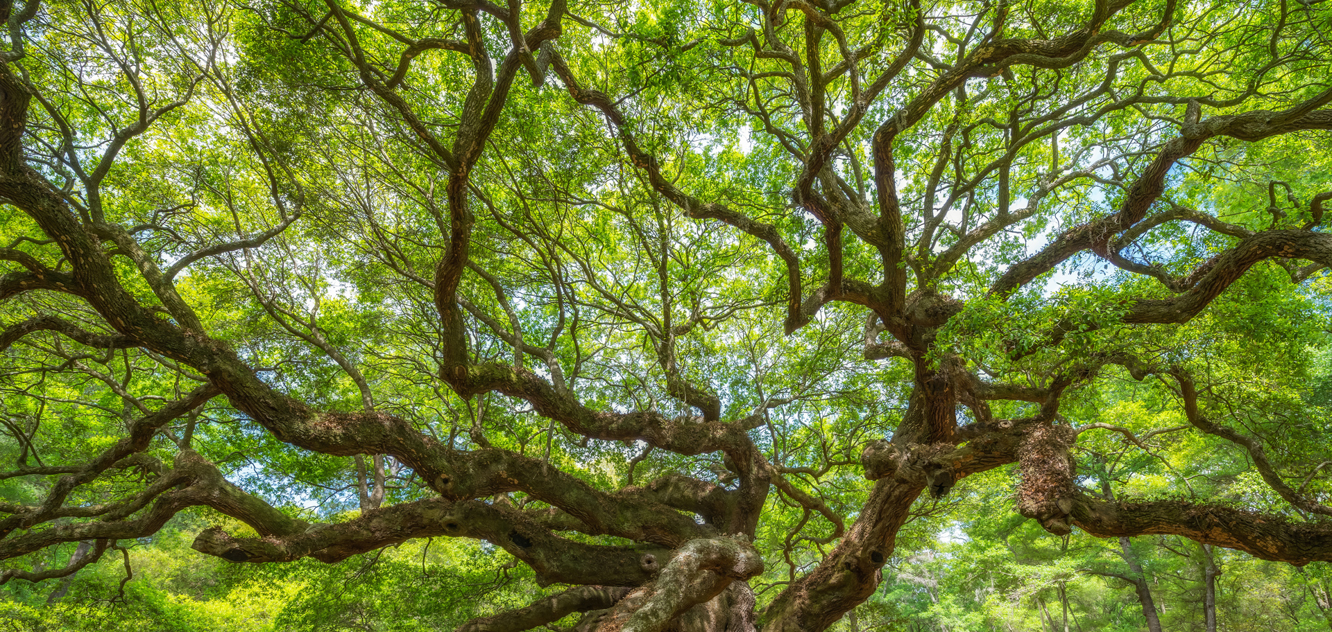AdobeStock