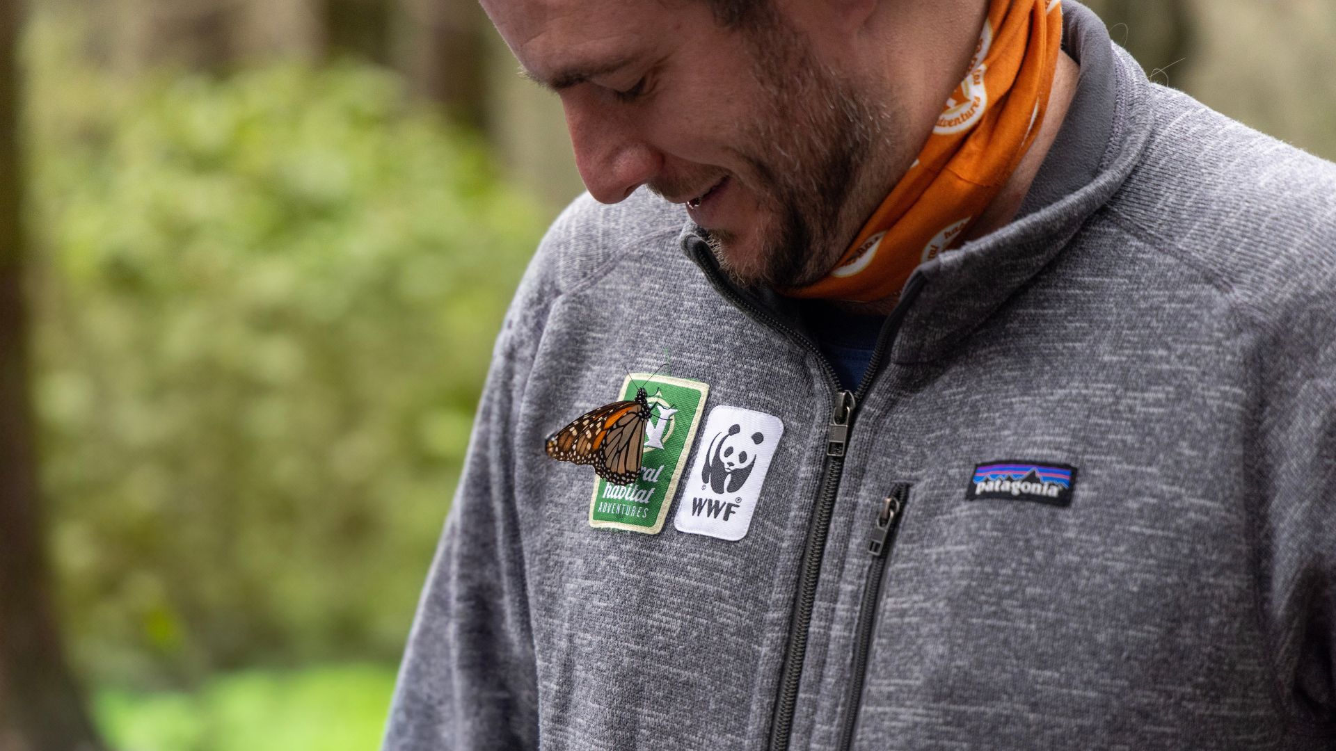 Monarch butterfly landed on someone's jacket with Nat Hab and WWF logos