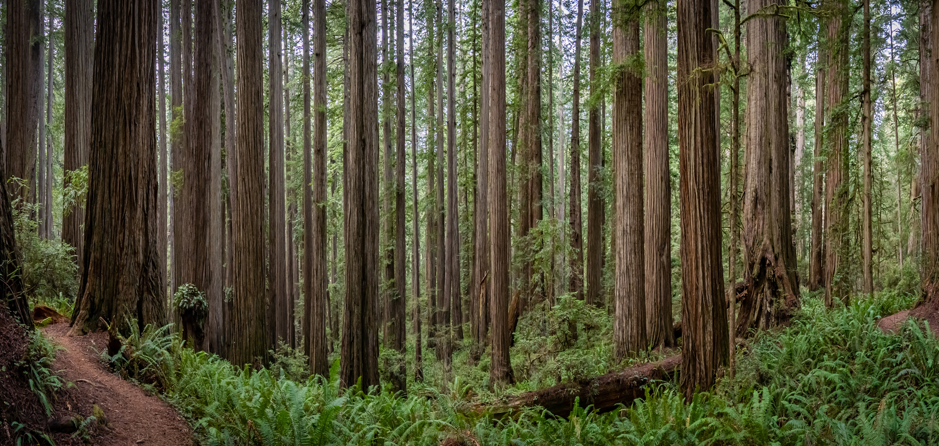 AdobeStock