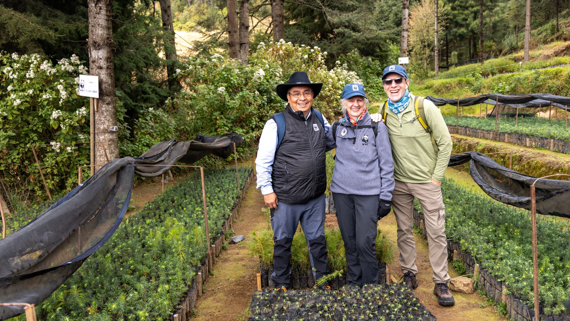 WWF staff and members pose for a photo in the tree nurseries near the monarch reserves